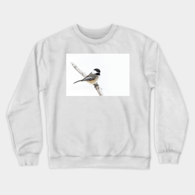 Algonquin Chickadee Crewneck Sweatshirt by Jim Cumming